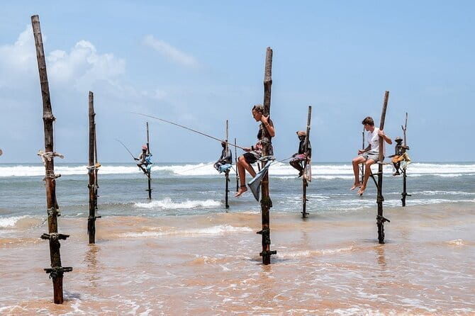 Full Day Safari Tour Yala - The wildlife targets: leopards, sloth bears, elephants, and the rest of Yala