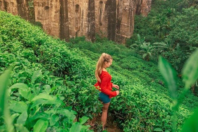 Full Day Tour to Udawalawe Safari and Ella - Ravana Ella Falls as a quick, legend-tied break