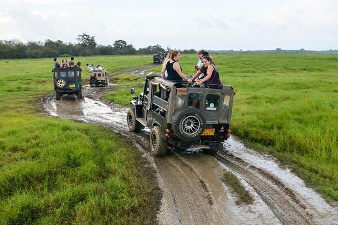 Full Day Wilpaththu National Park Safari (All Inclusive) - Key highlights to look for
