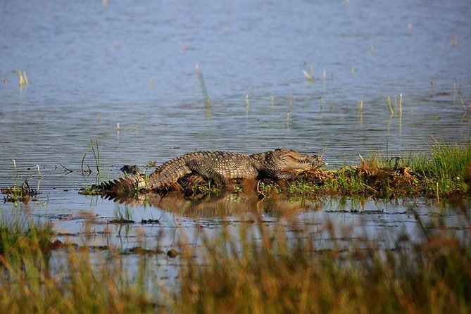 Full Day Wilpaththu National Park Safari (All Inclusive) - Negombo hotel pickup and the long drive you should plan for