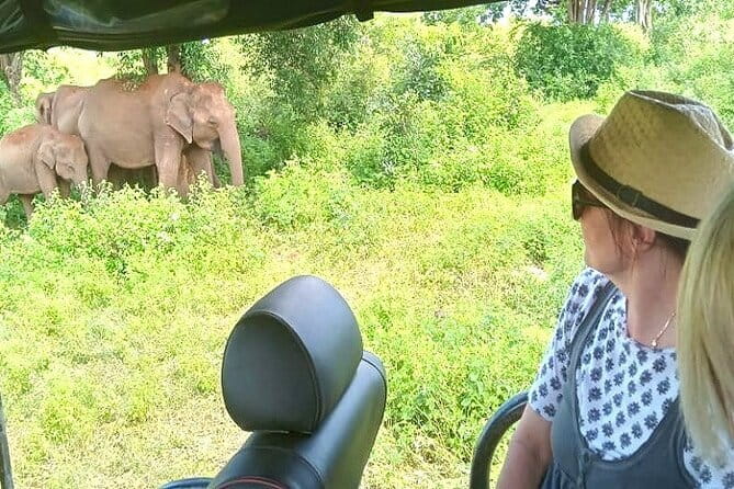 Fully Private Udawalawe National Park Safari Tour - Key things to know before you go