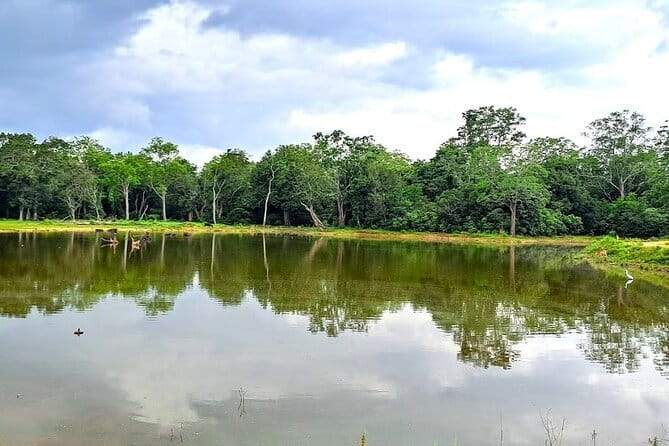 Fully Private Udawalawe National Park Safari Tour - Price and logistics, what the $95 covers and what it does not