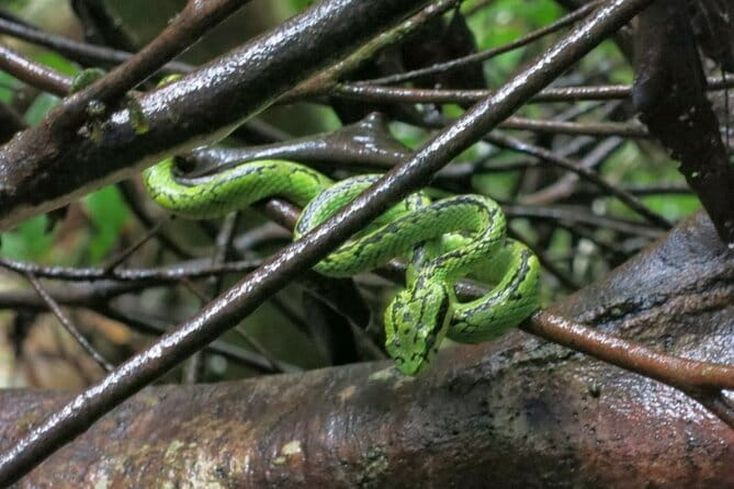 Fully Private Udawalawe National Park Safari Tour - A simple heads-up before you go