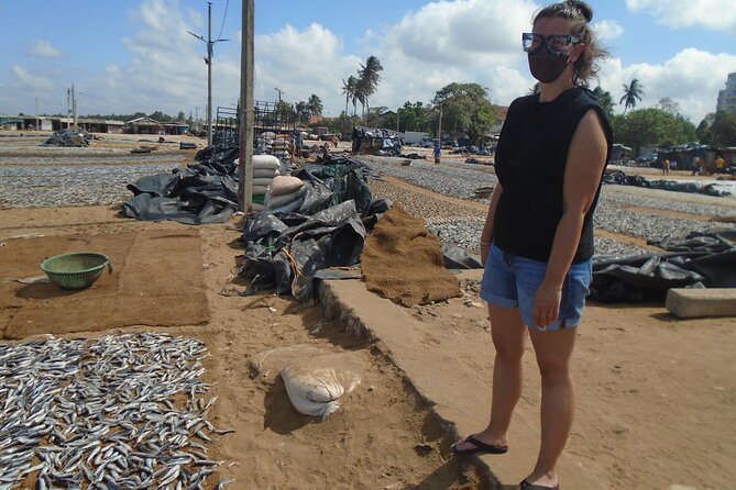 Fun and Scenic Negombo Tour by Tuk Tuk - Price and value: is $25 a good deal here?