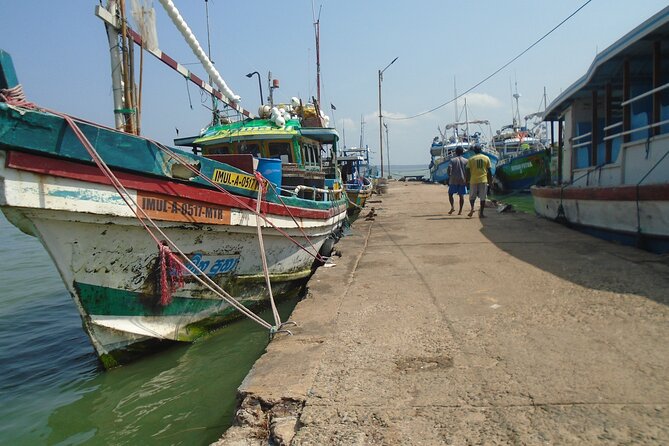 Fun and Scenic Negombo Tour by Tuk Tuk - Who this tour suits best