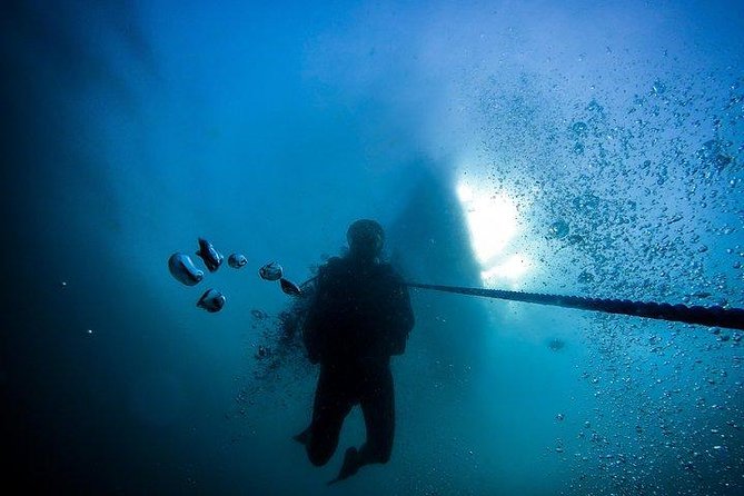 Fun Dives For Certified Divers - Guide Competence Is the Real Product Here