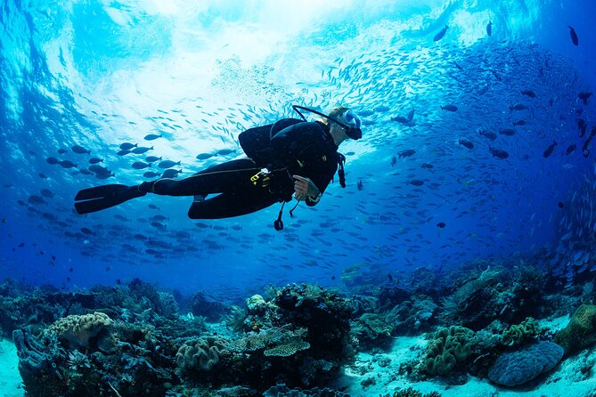 Fun Dives For Certified Divers - Small boats, max five divers, and guides who stay with you