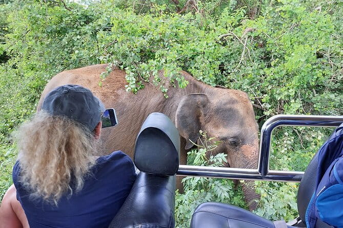 Galle ALL INCLUDED Tour from Hambantota Port (Shore excursions) - Lunch, beverages, and all entrance fees covered, what $95 buys you