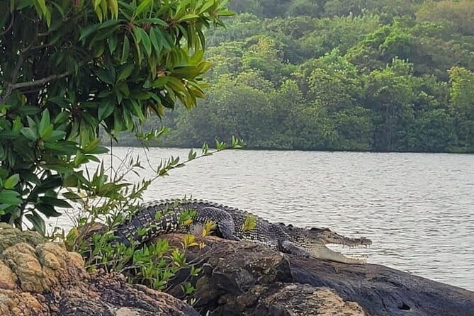 Galle ALL INCLUDED Tour from Hambantota Port (Shore excursions) - Cinnamon Island and the natural fish spa, a small detour with big character