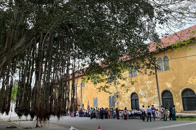 Galle and Bentota Day Tour From Colombo and Negombo - A long, south-coast day that actually feels worth it