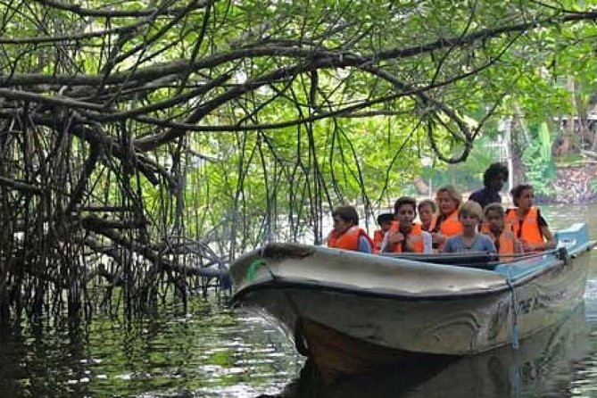 Galle Day Private Tour Beruwala/Bentota/Kosgoda/Ahungalla - The guide makes or breaks the day, and Dim has a solid reputation