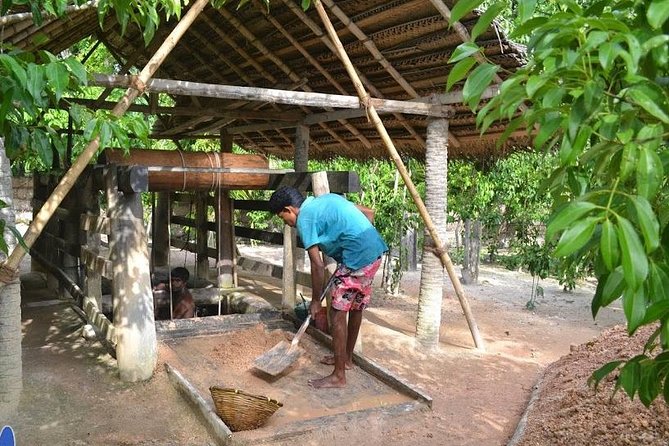 Galle Day Private Tour Beruwala/Bentota/Kosgoda/Ahungalla - 777 Spice Garden: smells, not lectures