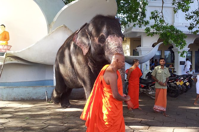 Galle Day Tour - Getting to and from Kalutara, Wadduwa, Bentota, or Beruwala without hassle