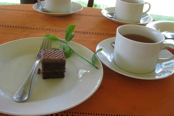 Galle Day Tour and Tea Plantation from Bentota & Other Places - Unawatuna Beach Break: Time to Breathe and Actually Relax