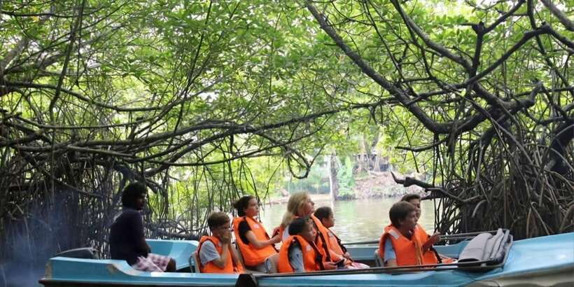Galle Day Tour From Ahungalla/Kosgoda/Bentota/Beruwala - Madu Ganga Private Boat Safari: The Calm Break in the Middle of the Day