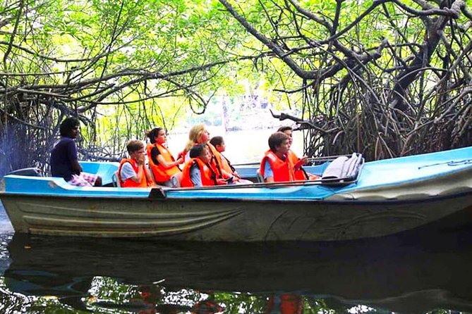 Galle Day Tour from Colombo or Negombo by Private Car , Van with Driver - Why a private driver makes Colombo to Galle feel possible