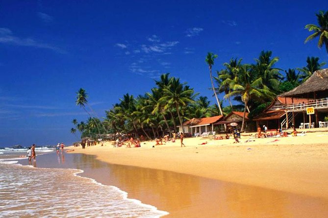 Galle Day Tour from Colombo or Negombo by Private Car , Van with Driver - Galle Dutch Fort: the walk that makes the whole trip worth it