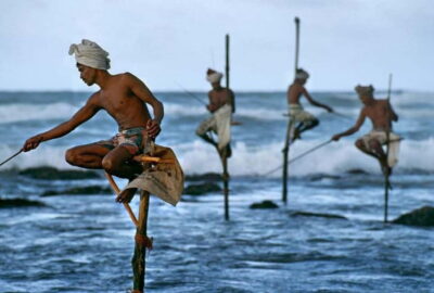 Galle Day Trip – River Safari, Sea Turtle & Stilt Fishermen