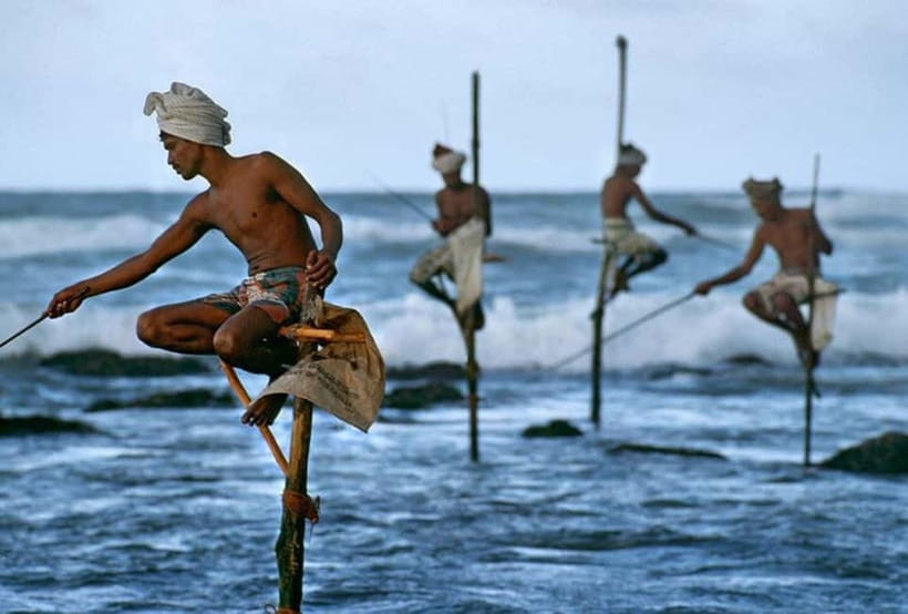 Galle Day Trip - River Safari, Sea Turtle & Stilt Fishermen - UNESCO Galle Fort walking route, plus the things most people miss
