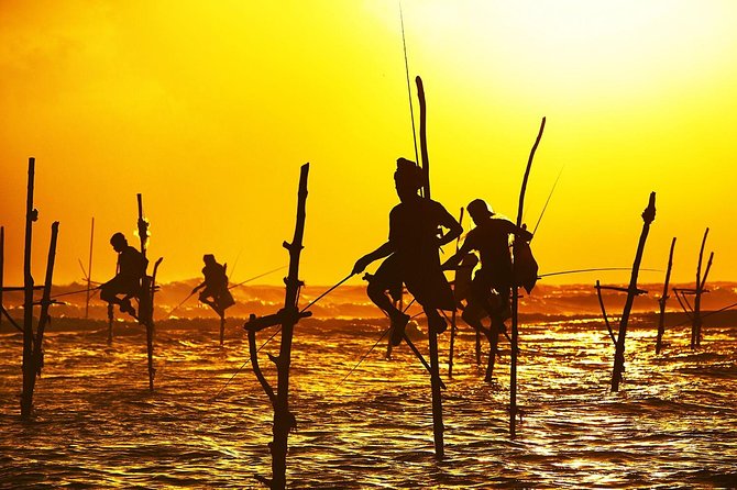 Galle Day Trip & Stilt Fishermen from Koggala - Japanese Peace Pagoda on Rumassala: a free viewpoint with a Buddhist calm