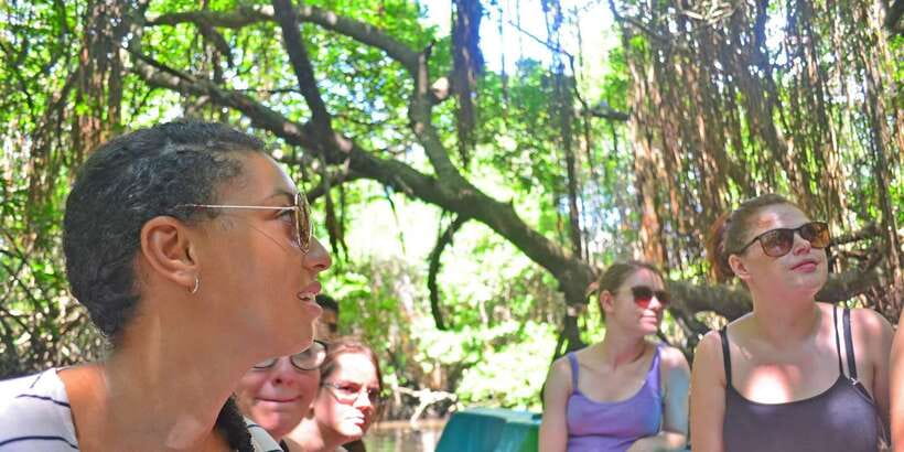 Galle Day Trip with River Safari, Sea Turtles & Tea Factory - Key highlights worth planning for