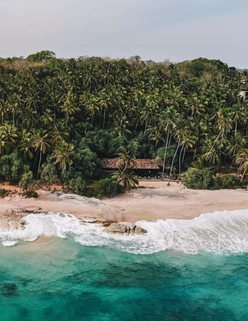 Galle Fort, Bentota, Hikkaduwa Beach: Day Tour from Colombo - Hikkaduwa Beach: palm-lined coastal time with marine life nearby