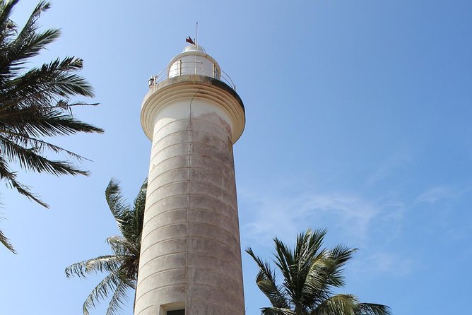 Galle Fort, Turtle, - Private Day Tour From Negombo or Colombo - Kosgoda Sea Turtle Conservation Project: a 30-minute stop with real behind-the-scenes work