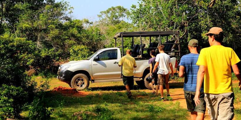 Galle/Mirissa/Tangalle:Udawalawa Safari & Elephant Orphanage - Elephant Transit Home: The 30-Minute Feeding Window and What It Feels Like