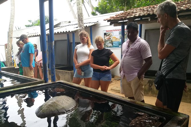 Galle sightseeing tour - Why this one-day Galle loop is easier than piecing it together