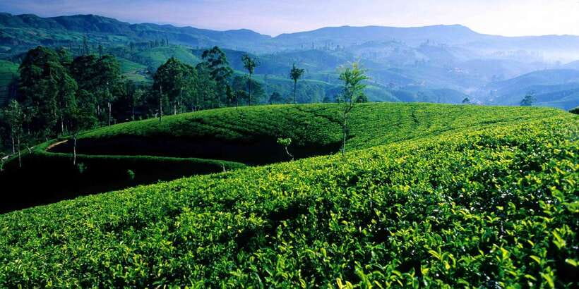 Galle/Weligama/Mirissa/Hiriketiya/Tangalle: Day Trip to Ella - Key Highlights You Should Care About