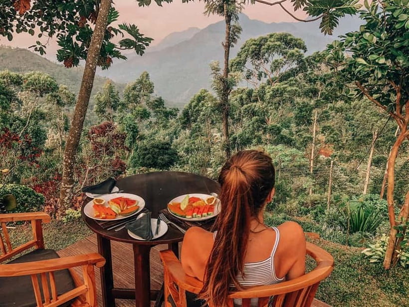 Get a private driver for day tours around Sri Lanka - Key points to know before you book