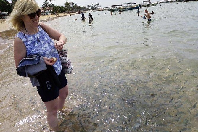 Glass Bottom Boat Tour and Snorkeling Hikkaduwa - Who This Tour Suits Best