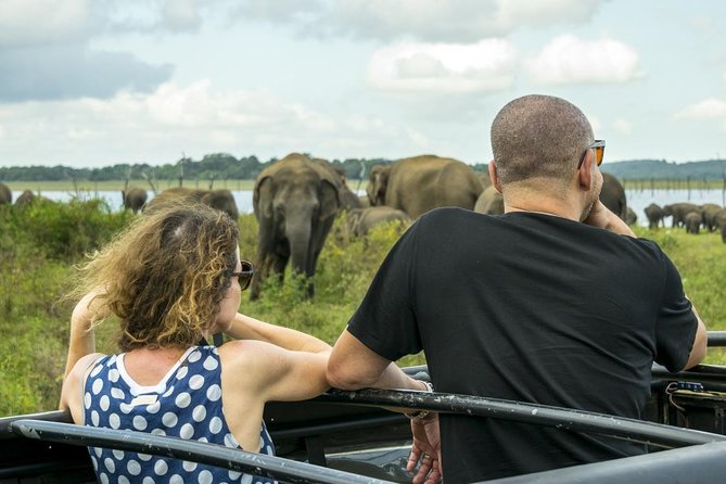 GO WILD! Double Safari Day Trip (Yala & Udawalawe) - Private & All Inclusive - Food, water, and comfort for a 13 to 16 hour day