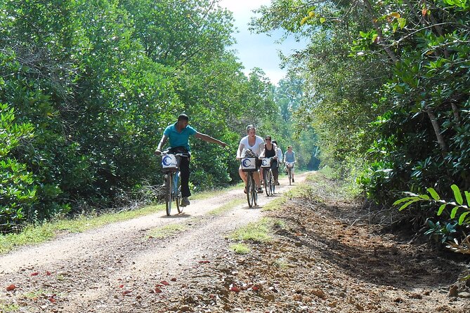 Half-Day Lagoon and Village Cycling Tour in Galle - The route in real terms: lagoon, mangroves, and village lanes