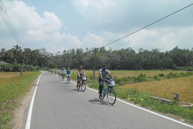Half-Day Lagoon and Village Cycling Tour in Galle - Culture stops without the marathon feeling