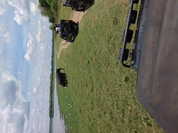 Half Day - Minneriya National Park Safari Tour From Habarana/Sigiriya - The 4x4 jeep part: why this setup can improve your odds