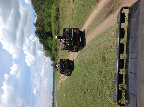 Half Day - Minneriya National Park Safari Tour From Habarana/Sigiriya - Who this half-day Minneriya safari is best for