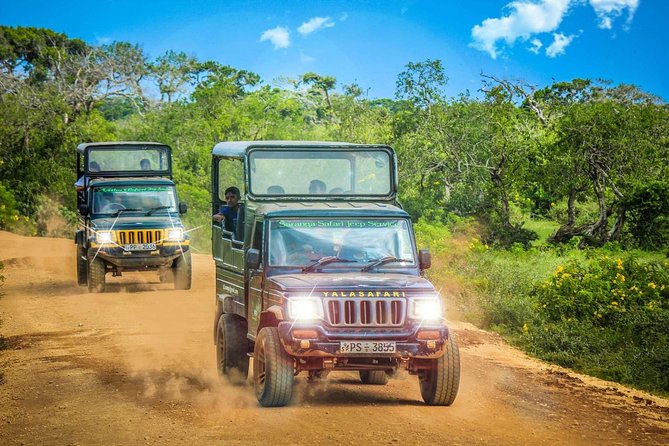 Half Day Safari at Yala National Park with Lunch - Inside the 4WD Safari, Who to Watch For