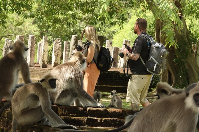 Half Day Safari Guided Tour - Stop 1: Bundala National Park for migrating birds and Asian elephants