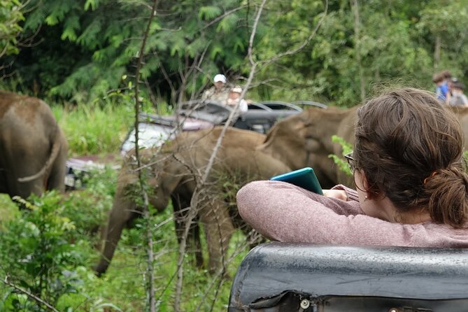 Half Day Safari Guided Tour - Stop 2: Yala National Park for variety, including a leopard reputation