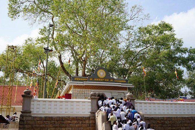 Half day tour - in Sacred city of Anuradhapura Or sacred city of Mihintale. - Lovamahapaya Brazen Palace, a Key Link Between Ruins and Meaning