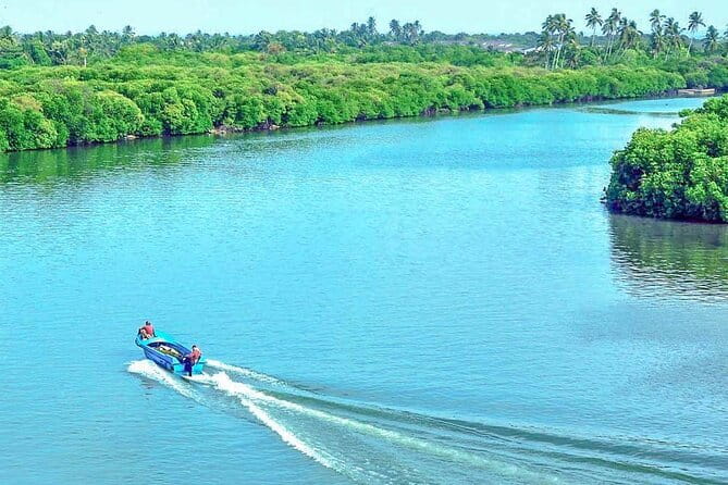Half Day Tour to Muthurajawela, Lagoon, Dutch Canal and Mangroves - Getting There With Pickup, Tuktuk Transfers, and a Clear Time Budget