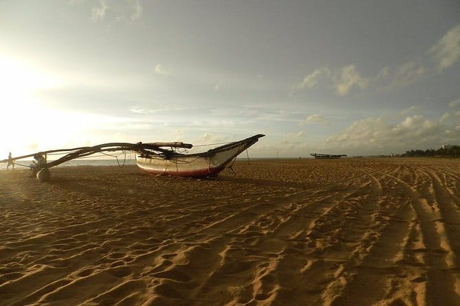 Half Day Tour to Muthurajawela, Lagoon, Dutch Canal and Mangroves - Dutch Canal to Lagoon: Fishermen, Mangroves, and the Bird Watching Rhythm