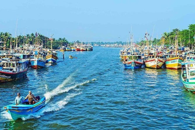 Half Day Tour to Muthurajawela, Lagoon, Dutch Canal and Mangroves - Price and Value: Is $59 Per Person Fair?