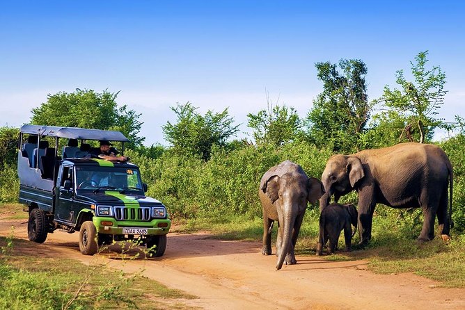Half Day Udawalawe Safari (Entrance + Lunch) - Wildlife you can reasonably hope for beyond elephants