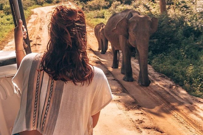 Half Day Udawalawe Safari from Kalutara (Entrance + Lunch) - Key highlights worth getting excited about