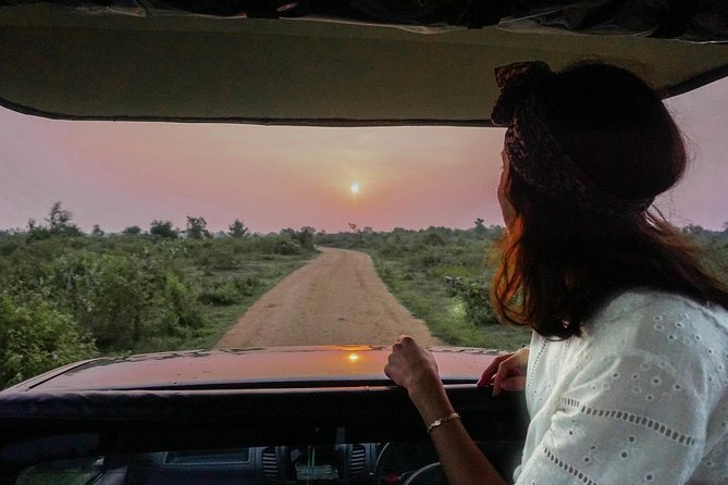 Half Day Udawalawe Safari from Kalutara (Entrance + Lunch) - Price and value: what $190 includes, and who it fits best