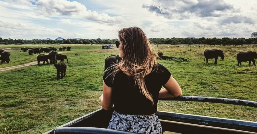 Hambantota Port: Udawalawe Safari Tour & Transit Home Visit - Who this tour suits best, and who might prefer a longer safari