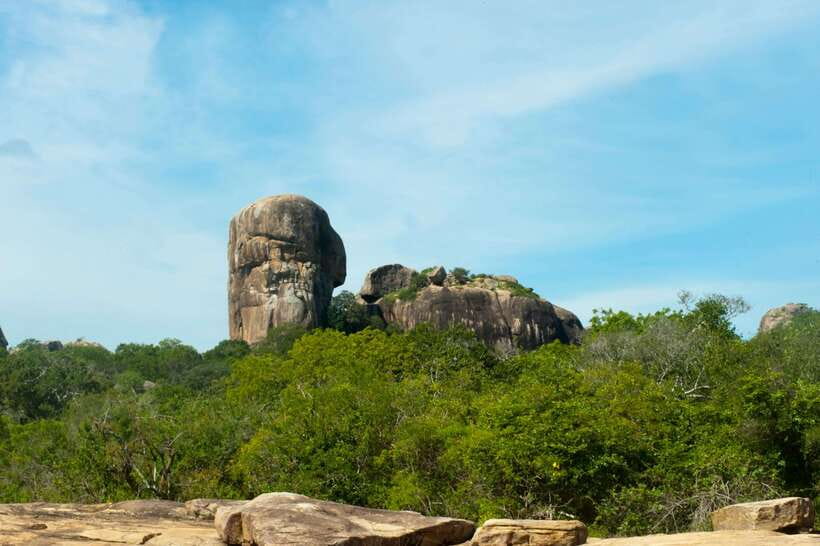 Hambantota Shore Excursion: Village and Cultural tour - Key highlights to know before you go