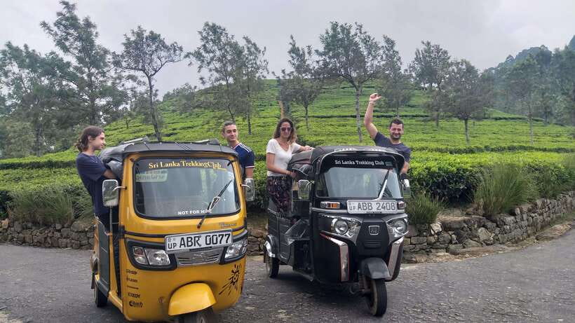 Haputale:Glorious Tuk Tuk Ride to Lipton'sSeat & Tea Factory - Tea Plucking and a Local Picnic: Where the Day Turns Personal